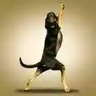  &hellip;
