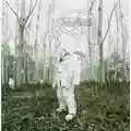 Subsonica Amorematico