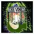 The Vines Highly Evolved