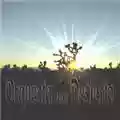 Orquesta del Desierto Orquesta del Desierto