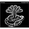 Turbonegro Apocalypse Dudes