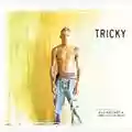 Tricky Vulnerable