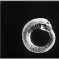 Turbonegro Scandinavian Leather