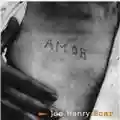 Joe Henry Scar