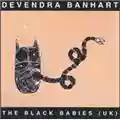 Devendra Banhart The Black Babies (UK)