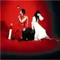 The White Stripes Elephant