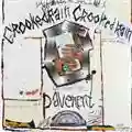 Pavement Crooked Rain Crooked Rain