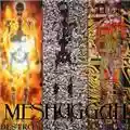 Meshuggah Destroy Erase Improve