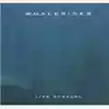 Lisa Gerrard Whalerider
