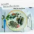 Scott Henderson Well To The Bone