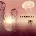 Verdena Solo Un Grande Sasso