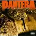 Pantera The Great Southern Trendkill