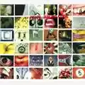 Pearl Jam No Code
