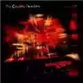 The Cinematic Orchestra Every Day