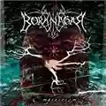 Borknagar Empiricism