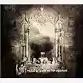 KoRn Take A Look In The Mirror