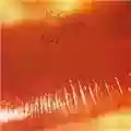 The Cure Kiss Me Kiss Me Kiss Me