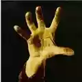System Of A Down System Of A Down