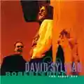 David Sylvian & Robert Fripp The First Day