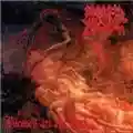 Morbid Angel Blessed Are The Sick