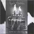 Jane's Addiction Nothing's Shocking