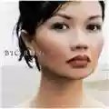Bic Runga Beautiful Collision