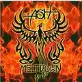 Ash Meltdown