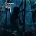 Sadist Tribe