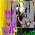 Ani DiFranco Not A Pretty Girl