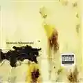 Nine Inch Nails The Downward Spiral