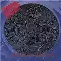 Morbid Angel Altars Of Madness