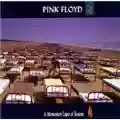 Pink Floyd A Momentary Lapse Of Reason