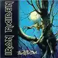 Iron Maiden Fear Of The Dark