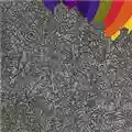 Lightning Bolt Wonderful Rainbow (Load)