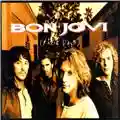 Bon Jovi These Days