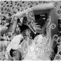 Björk Vespertine
