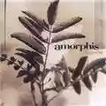 Amorphis Tuonela