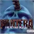 Pantera Far Beyond Driven