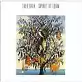 Talk Talk Spirit Of Eden