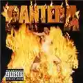 Pantera Reinventing The Steel