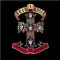 Guns 'N' Roses Appetite For Destruction