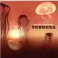 Verdena Solo Un Grande Sasso