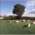 KLF Chill Out