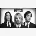 Nirvana With the Lights Out - Box