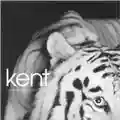Kent Vapen & Ammunition