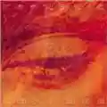 Cephalic Carnage Lucid Interval