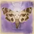 Mercury Rev The Secret Migration