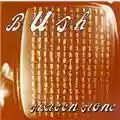 Bush Sixteen Stone