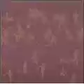 Sightings Arrived In Gold