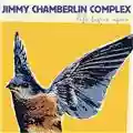 Jimmy Chamberlin Complex Life Begins Again